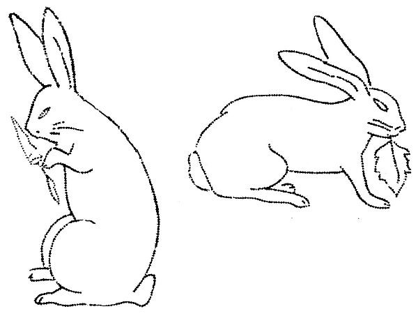 Заяц беляк рисунок легкий. Заяц рисунок легкий. Как нарисовать сидящего зайца. Как нарисовать сидящего зайца. Как нарисовать сидящего зайца.