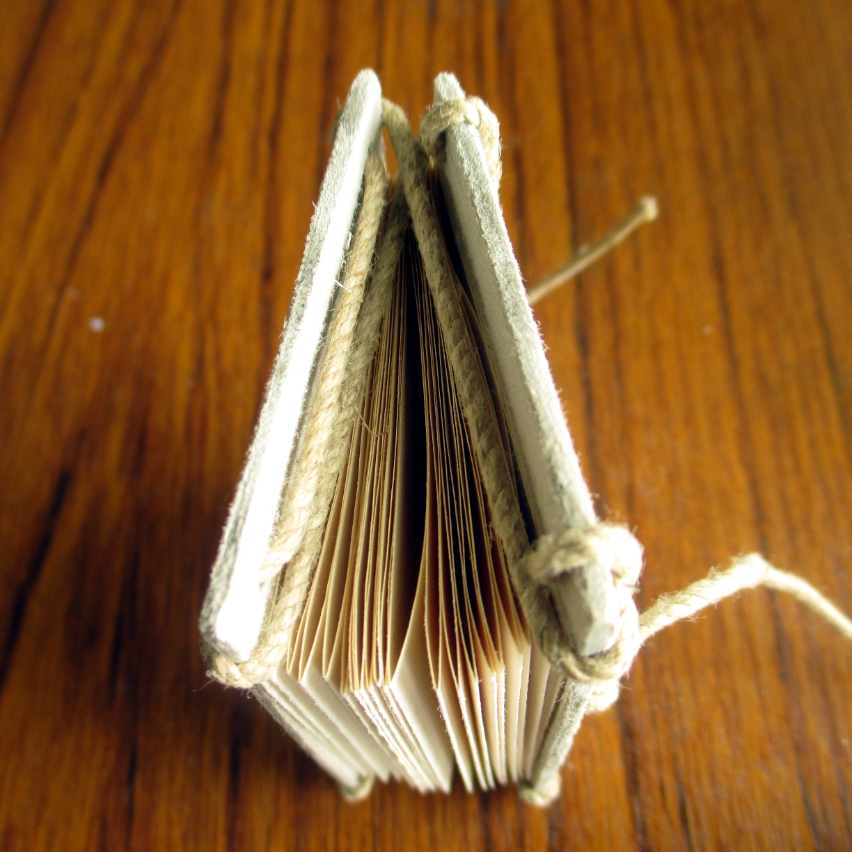 Srjskam Accordion Book with Jacob's Ladder Binding