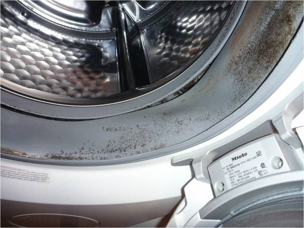 IndoorDoctor on Indoor Air Quality : Why Your Front Loading Washing