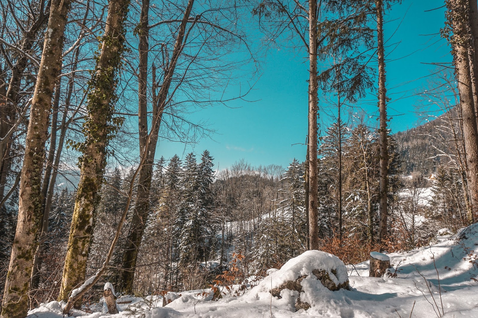 Winter trekking in Austria - Hochlantsch mountain trekking routes near Graz, visitgraz, Graz tourismus, Graz trekking, winter trekking in Austria, Hochlantsch, Mixnitz, lifestyle blog Austria, Hochlantsch summit