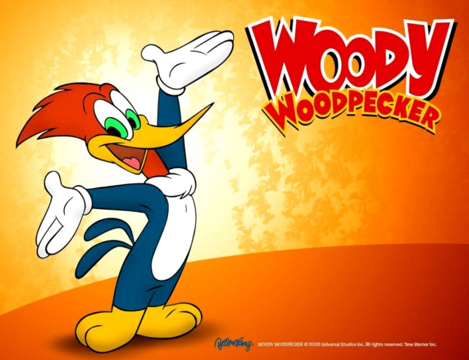 Woody Woodpecker Images Hd Wallpapers Box