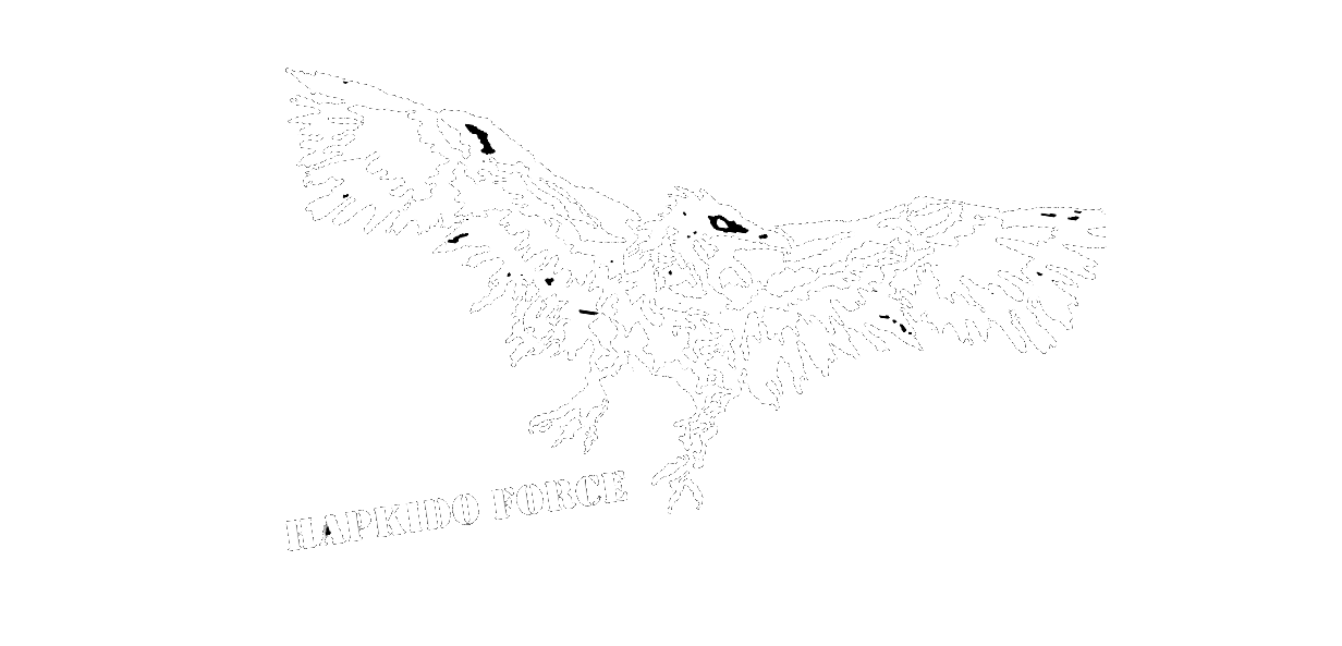 Hapkido Force Japon
