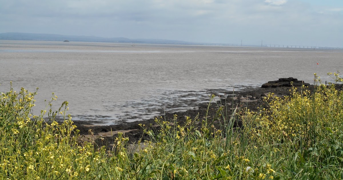 A lifetime of Islands Denny Island, Bristol Channel
