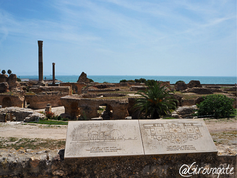 cartagine tunisia