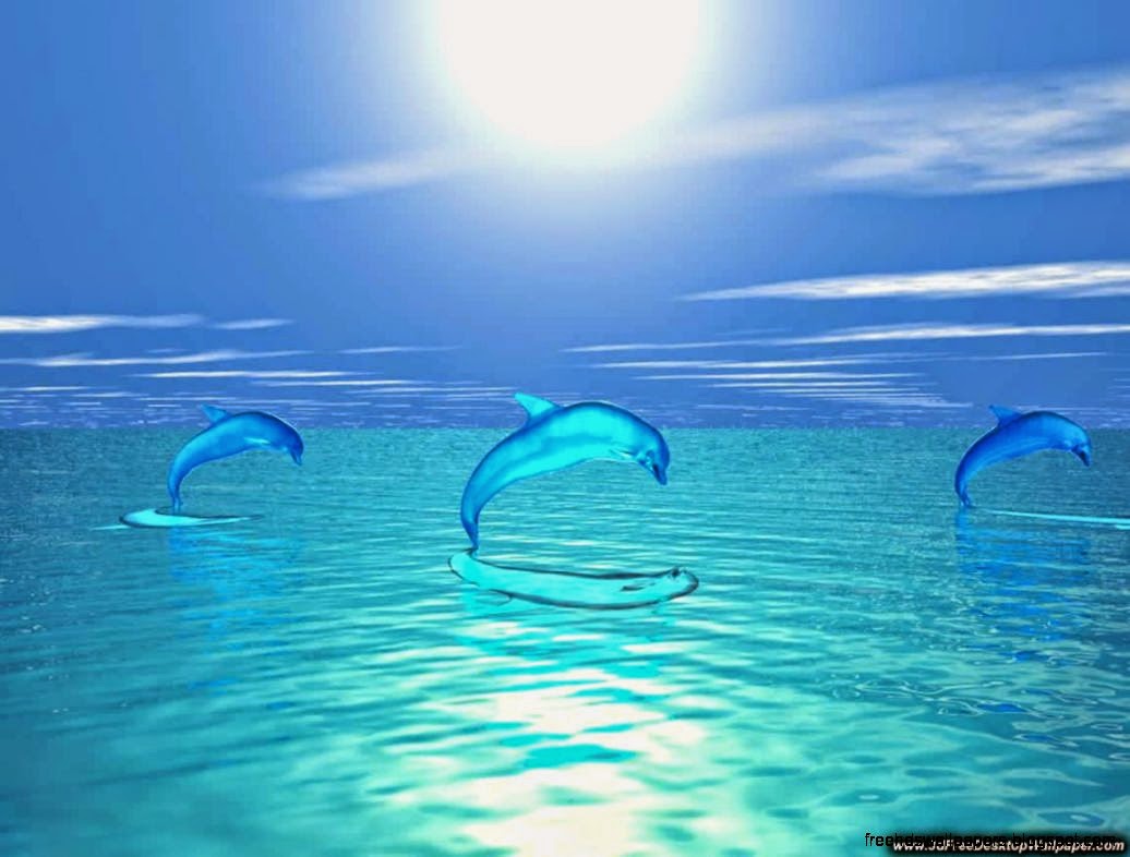 Wallpaper Computer 5