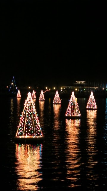 Christmas Trees On Water Boat Parade