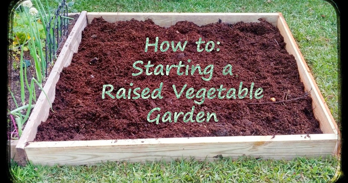 How To: Starting a Raised Vegetable Garden