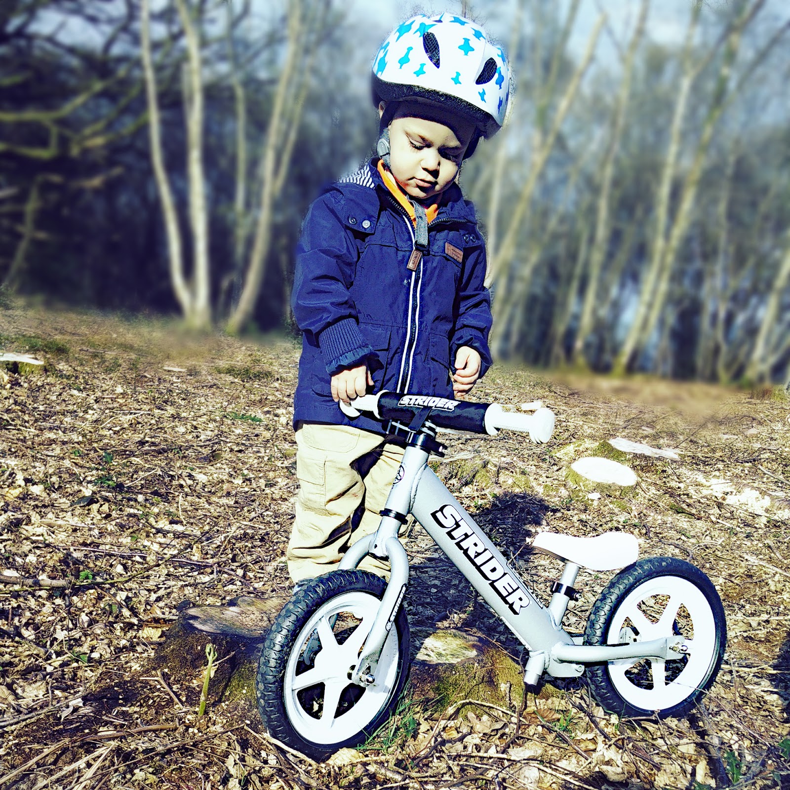 strider 12 pro aluminium