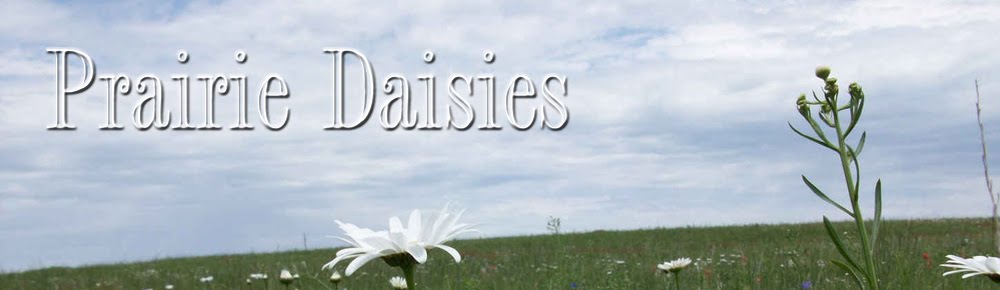 Prairie Daisies