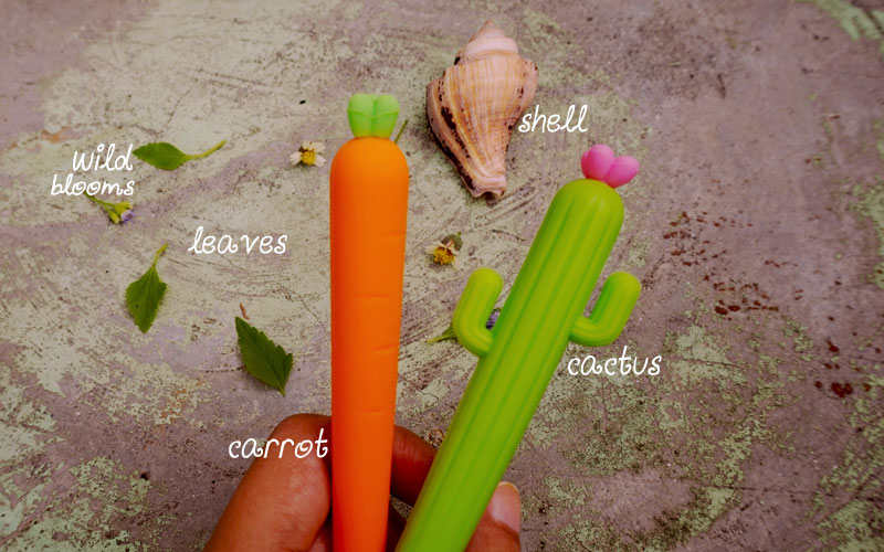Carrot And Cactus Chit Chat