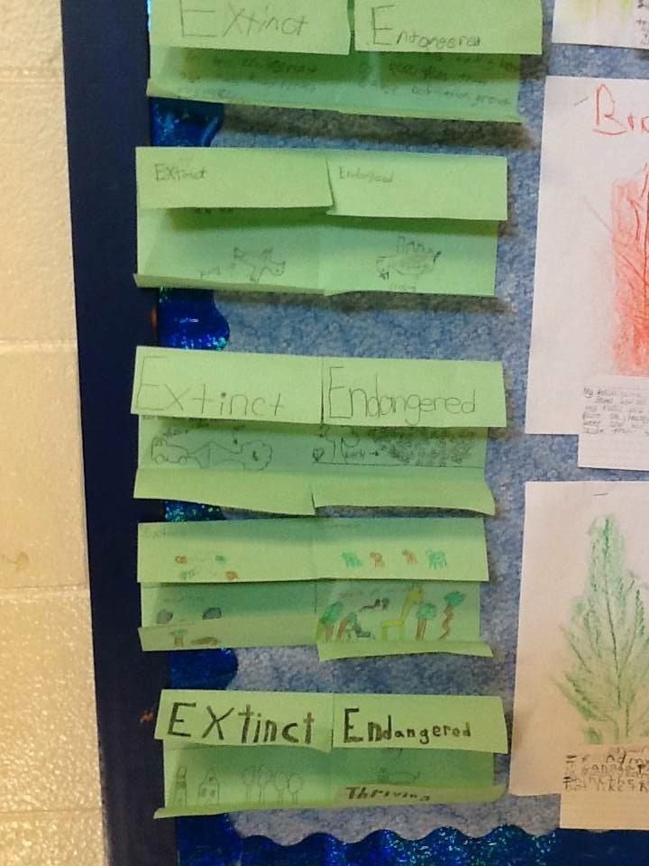 Third Grade Thinkers "Fossil" rubbings