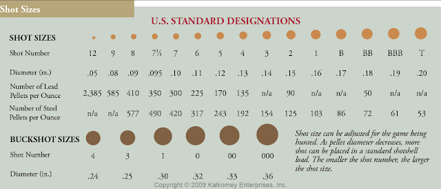 Vintage Outdoors: Shotgun Shell Shot Size Comparison Chart Actual size