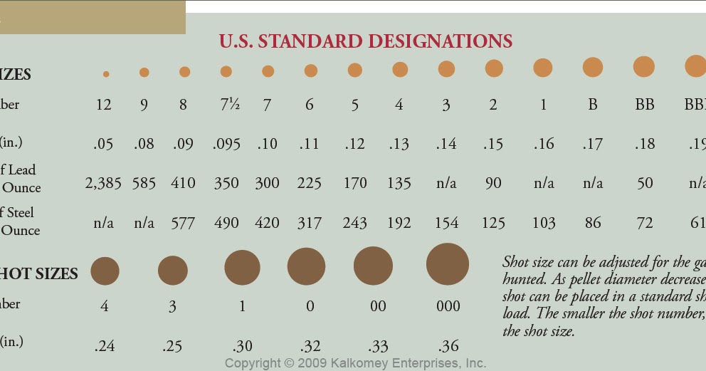 Buckshot Size Comparison Chart