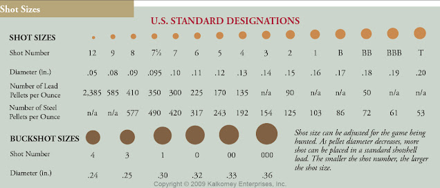 Buckshot and Game Loads Pellet Size Comparison