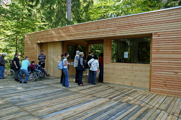 Bavarian Forest National Park