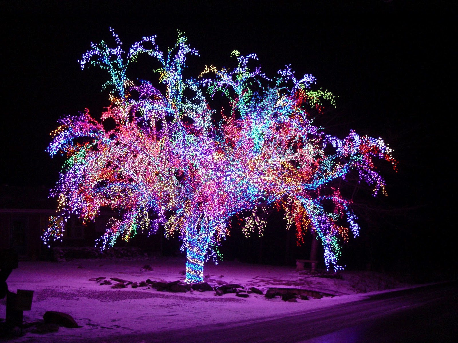 Christmas Wallpapers and Images and Photos: Christmas Lights images ...