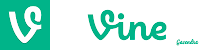 Vine Logo Font and Color Text Used