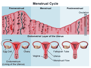 bahaya penebalan dinding rahim