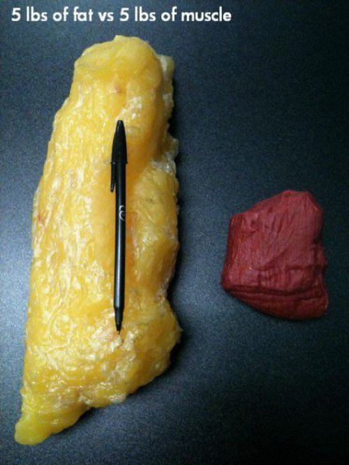 always on a diet but never losing weight starvation protective starvation diet works