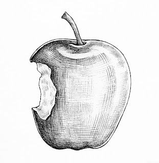 Sketsa Buah Apel Sketsa Buah Apel