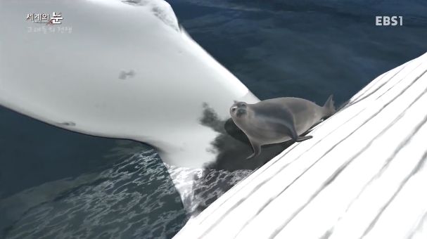 범고래 Vs혹등고래 | 인스티즈