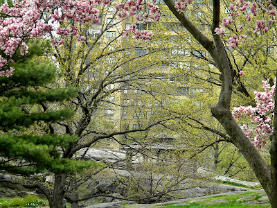 new york spring central park
