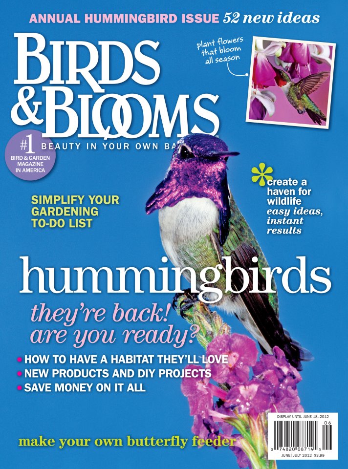 The Backyard Birder Current Birds & Blooms magazine is buzzing with