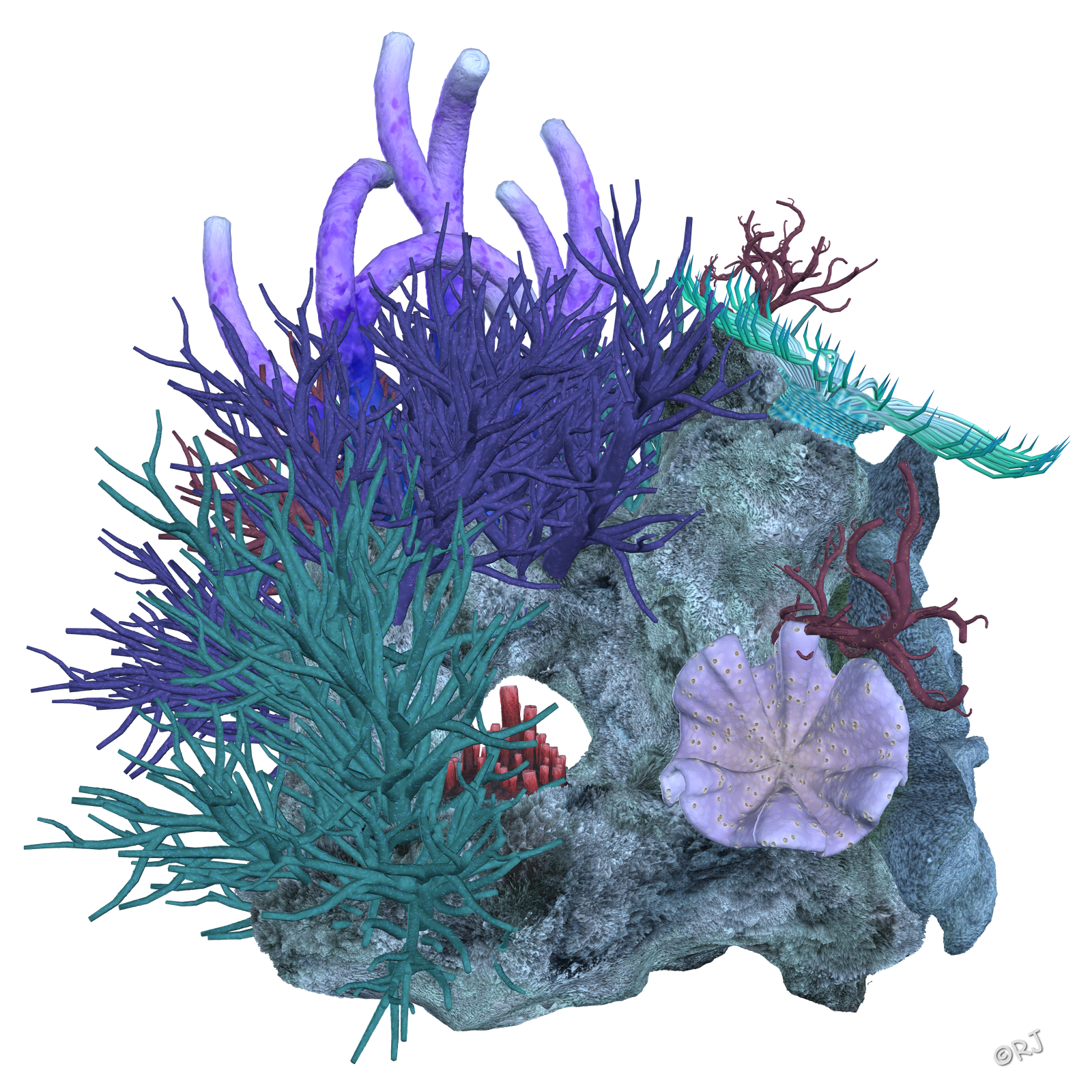 Top 91+ Pictures A Picture Of A Coral Reef Completed 10/2023