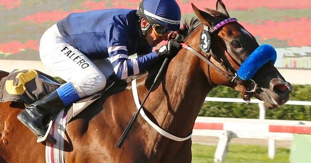 La Plata. TIMBERLINE se prueba en el Bosque