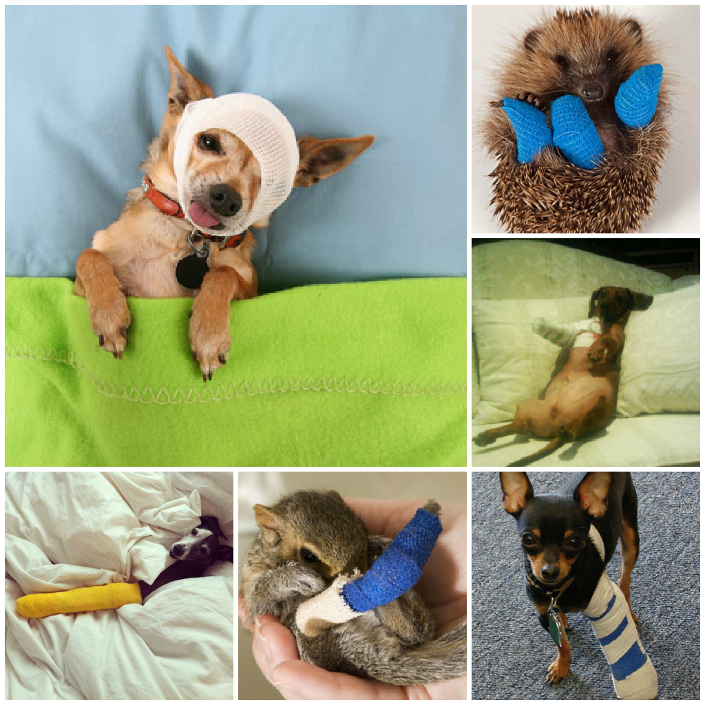 Layers of a Sandwich sad animals