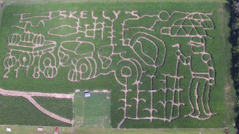 Skelly's has been hosting mazes since 1998! Image courtesy of Skelly's.
