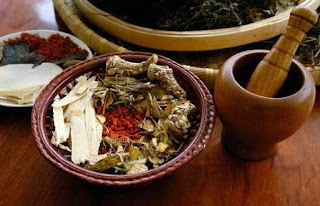 Điều trị các bệnh với cây thuốc nam 1 Điều trị các bệnh với cây thuốc nam