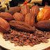 Secret Indians Bribri 'of Costa Rica Longlife Raw Cacao