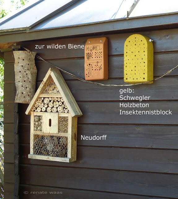 Wo wohnen die Wildbienen und Insekten am Liebsten? Erfahrung aus unserem Garten