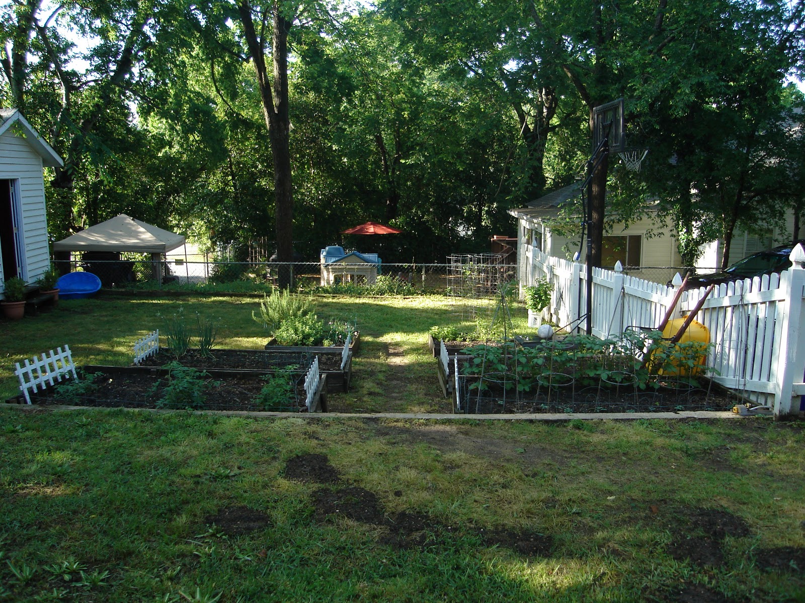 THE DARKROOM: The 2013 Edition of Our Backyard Garden