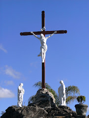 Infalibilidade do Magistério da Igreja: