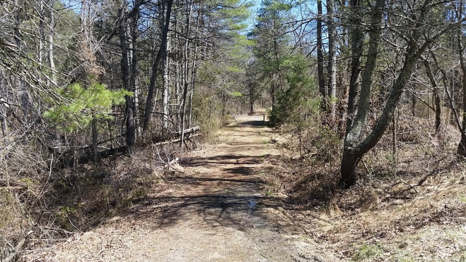 "Lee 333 Challenge" Hike all the trails in the Washington