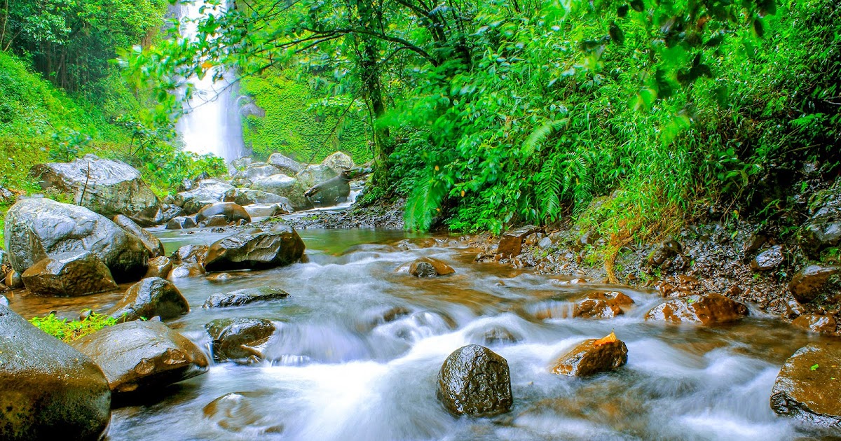 87+ Gambar Naturalisme Air Terjun Paling Hist 87+ Gambar Naturalisme Air Terjun Paling Hist