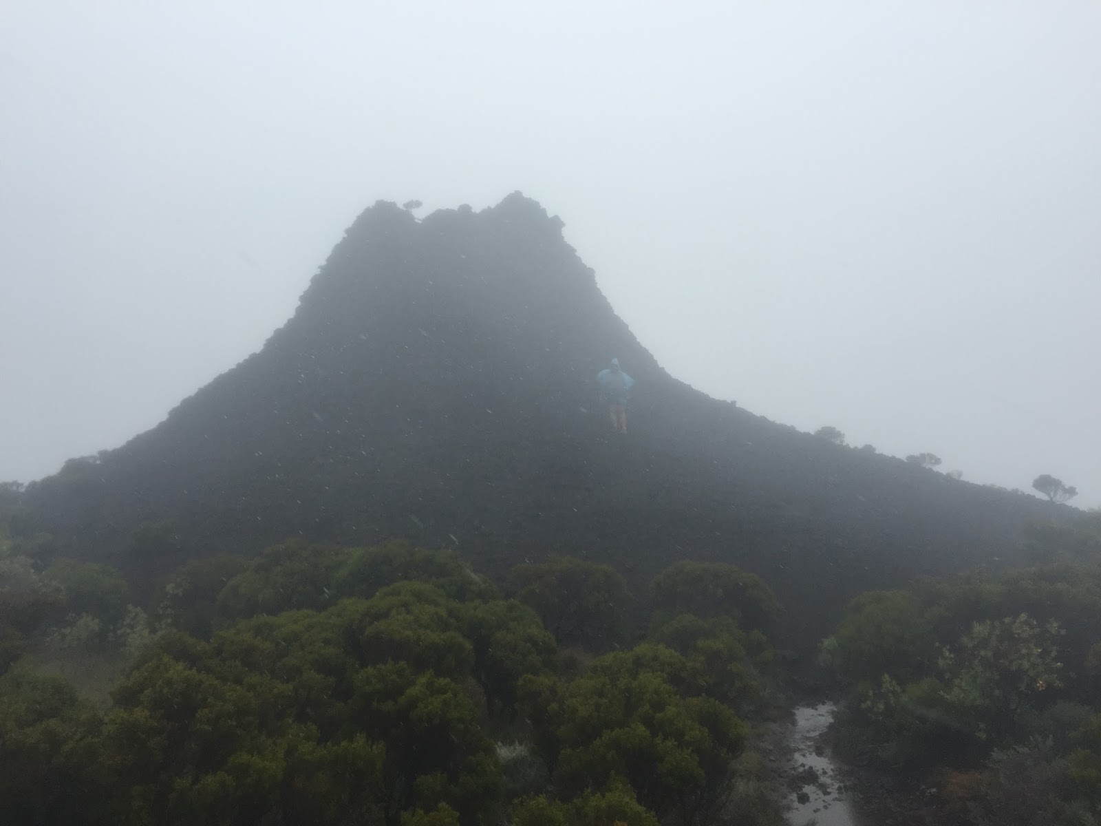 Réunion (Mauritius) - bobtailklub.hu