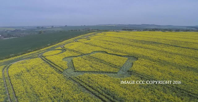 Crop Circle  - Página 4 G0011666bbb