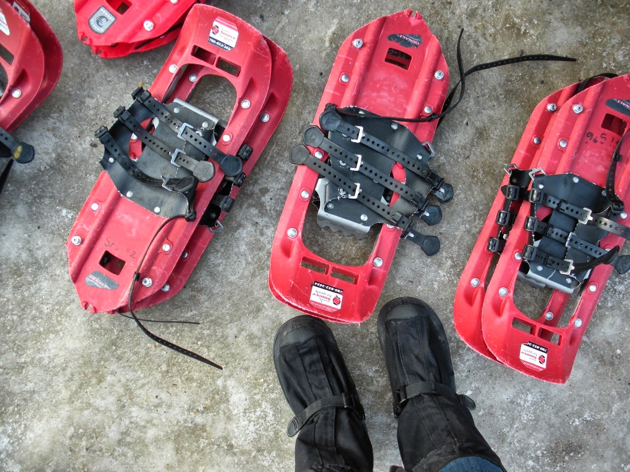 Winding Spiral Case A Weekend In Jasper Snowshoeing Pyramid Lake