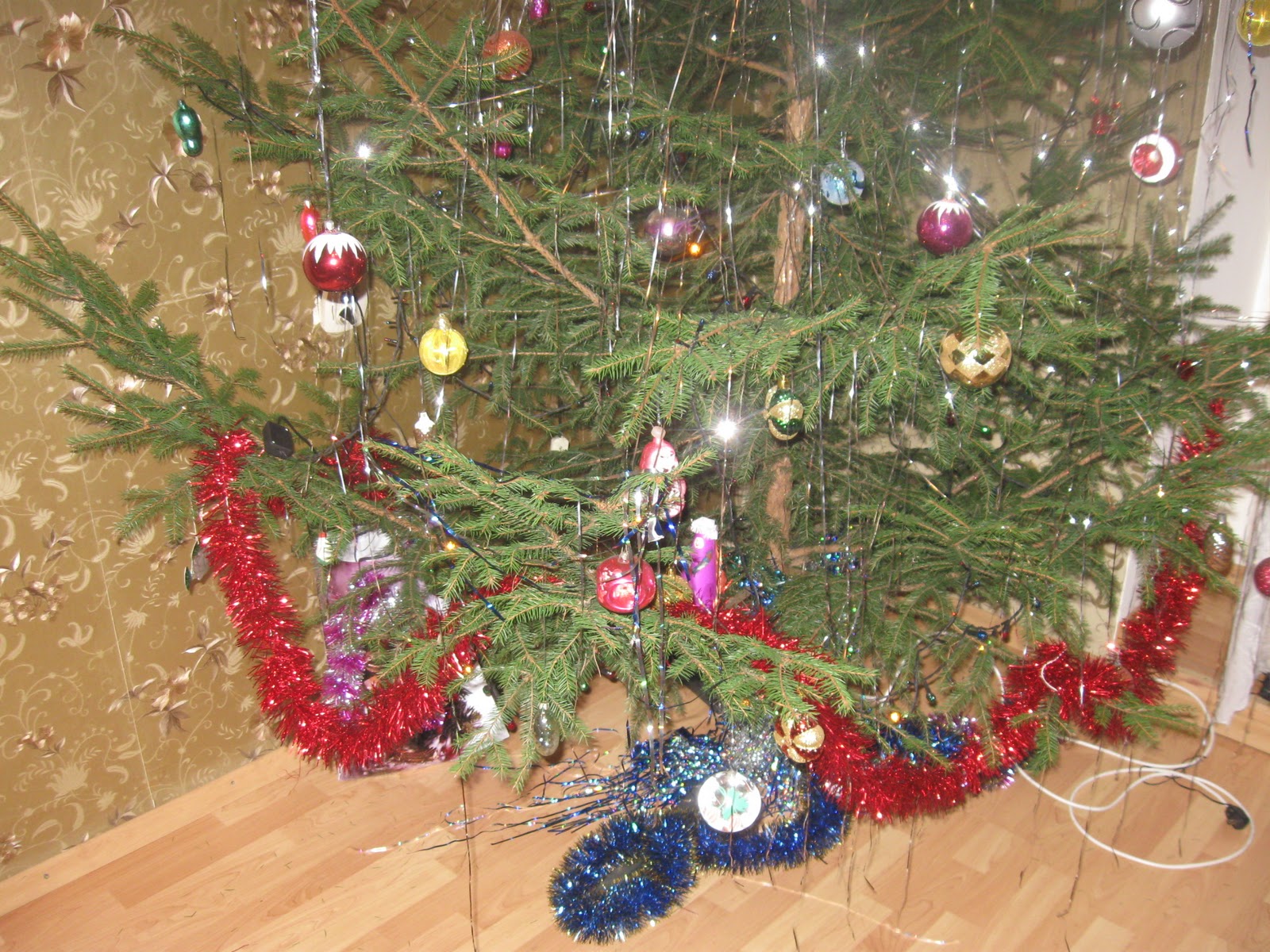 когда можно разряжать елку после нового года. разряжаем ёлку на улице летом. разряжаем ёлку на улице летом. разряжаем ёлку на улице. выброшенные елки.