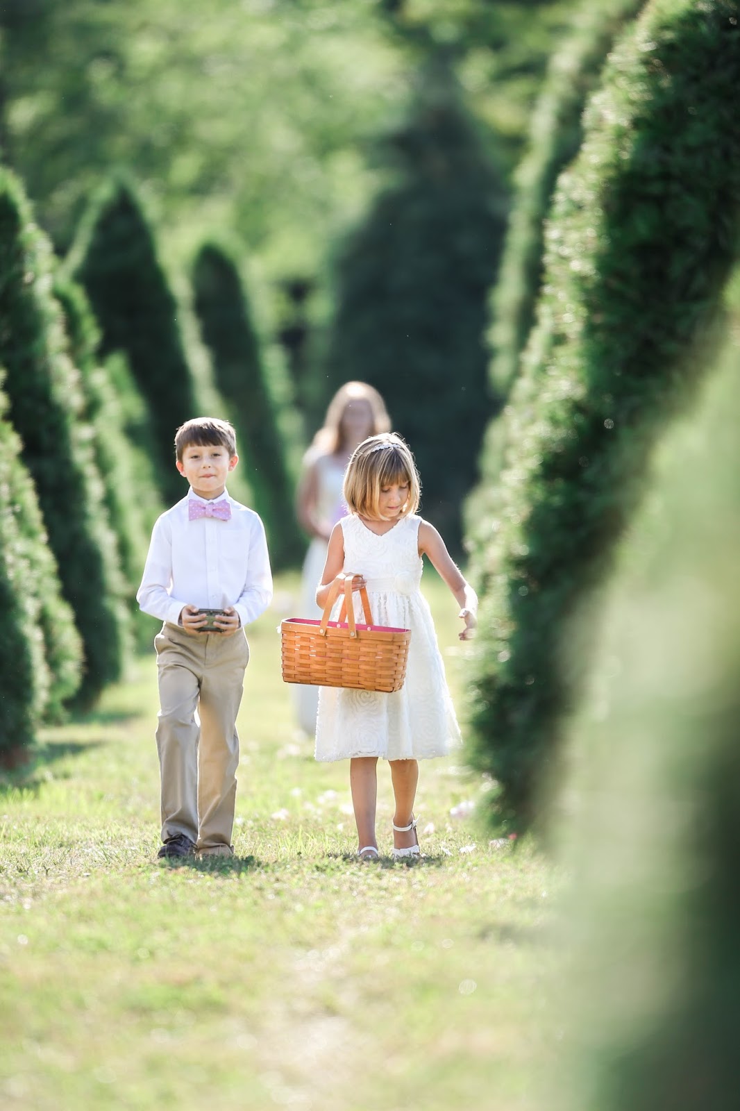 Christmas Trees Medina County Ohio 2016 Christmas Tree Season Medina Ohio