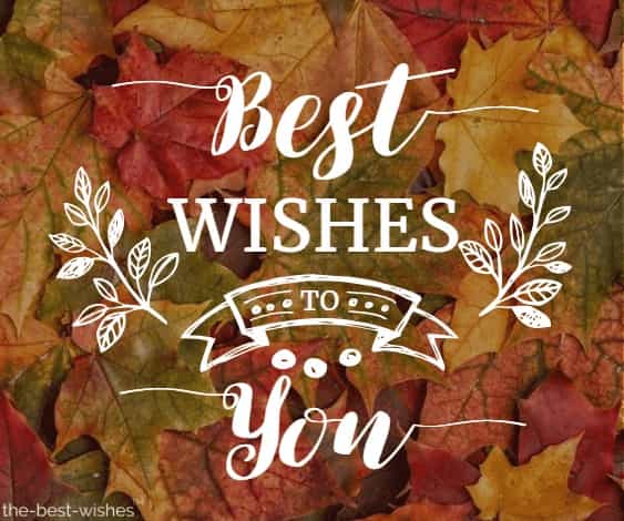 Best Wishes to you Image Best wishes to you Beautiful Image