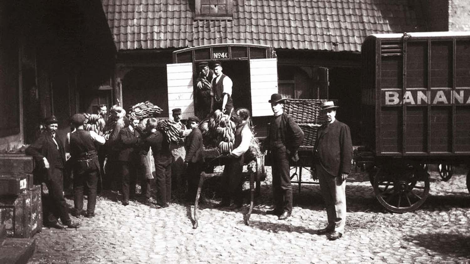 The first bananas in Norway, 1905