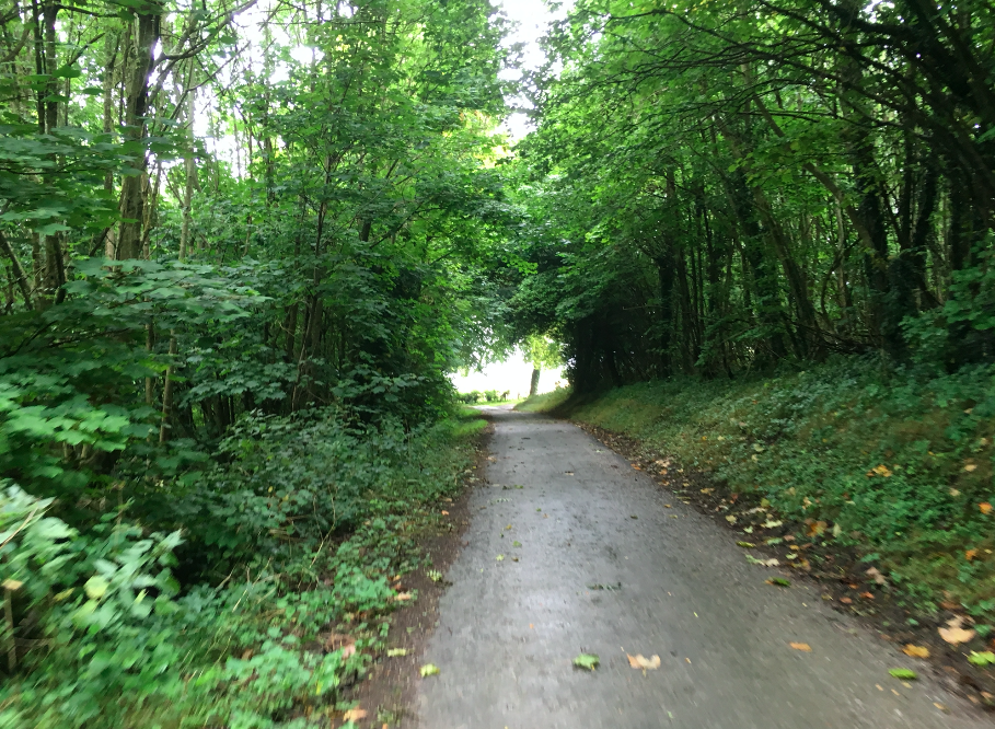FitBits | Cycling the South Downs Way - Petersfield to Amberley 