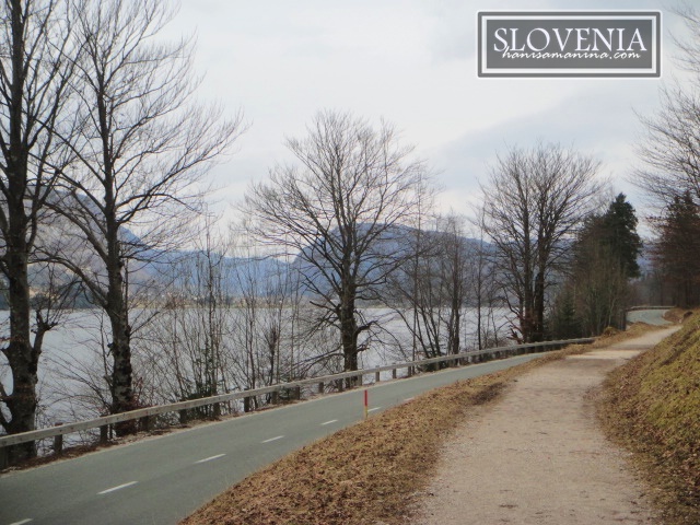 Menikmati Pemandangan Sekitar Lake Bohinj, Slovenia 