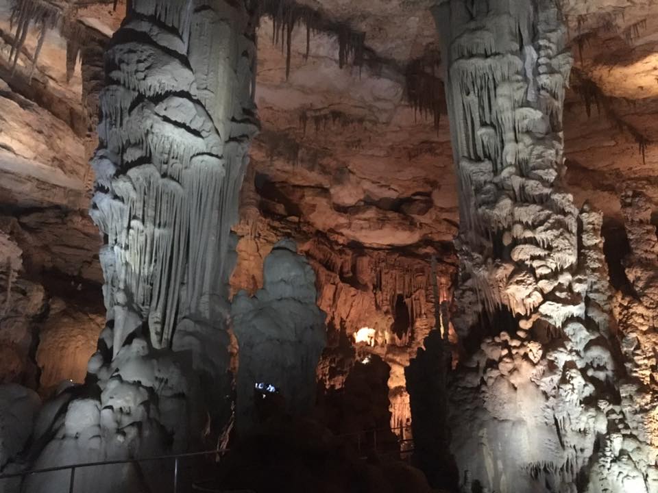 ELKMONT ALABAMA FIFTH GRADE ON A FIELD TRIP