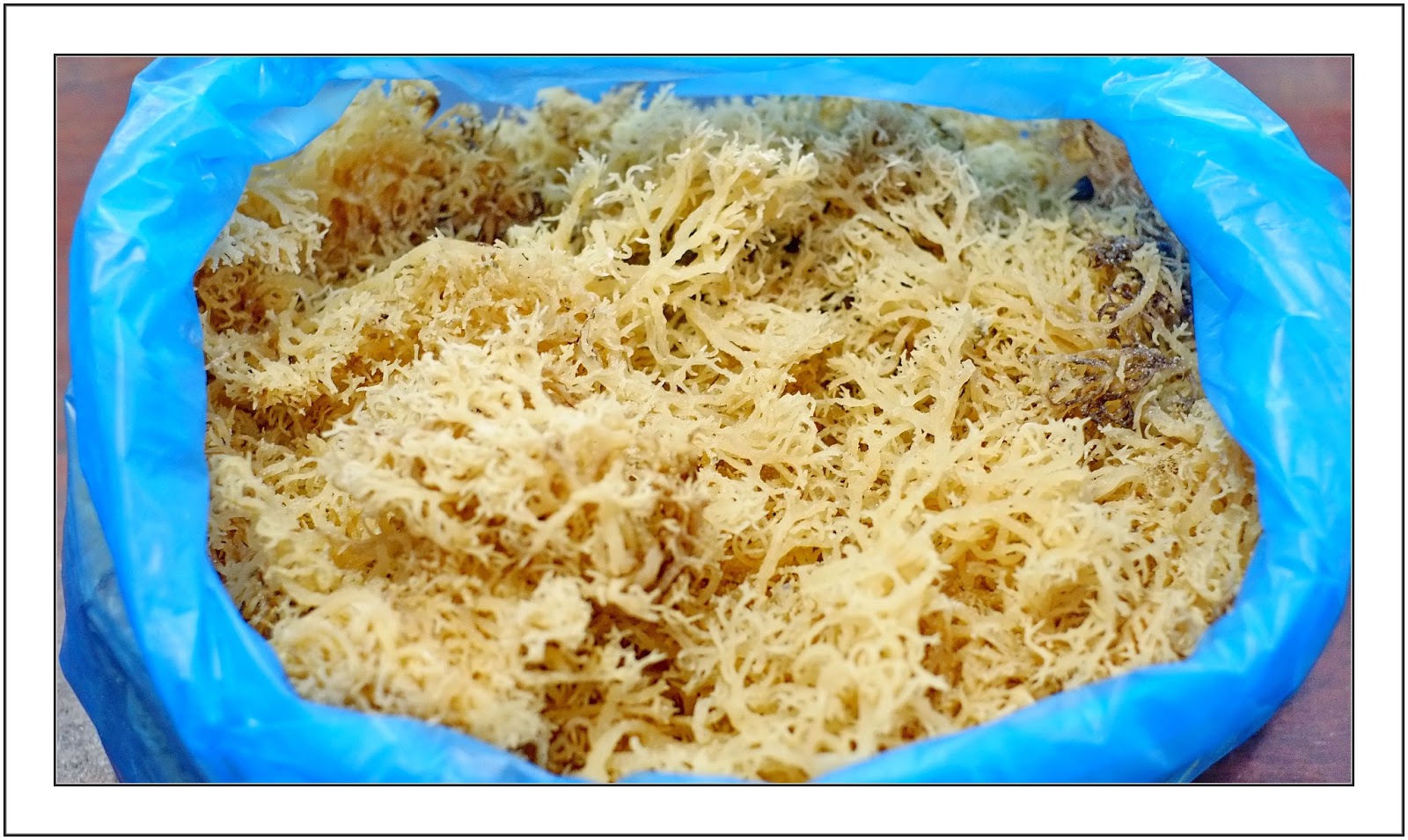 Gambar Rumpai Laut Resepi Kerabu Bersama Mangga Gambar Air di Rebanas