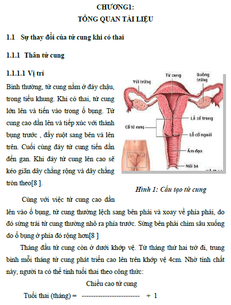 Thực trạng phá thai những phụ nữ chưa sinh con tại trung tâm kế hoạch hóa gia đình bệnh viện Phụ sản Trung ương từ tháng 4 đến tháng 6 năm 2013